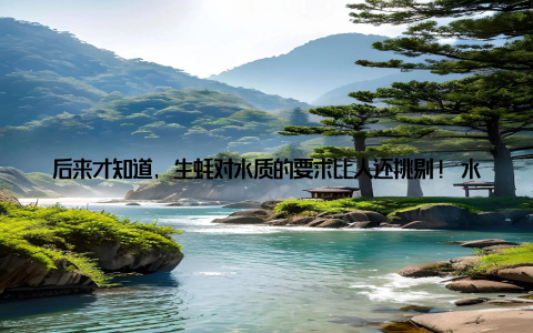 后来才知道, 生蚝对水质的要求比人还挑剔! 水温得在10-25℃、盐度20-30‰、水深2-8米, 还得避开工业污染和淡水河口
