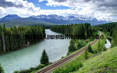 今天, 我们将深入剖析螃蟹养殖的核心技术要点, 20字诀窍的解析, 带您全面了解如何科学养殖、高效增收