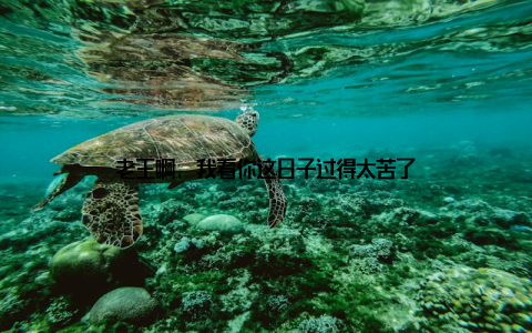 老王啊, 我看你这日子过得太苦了