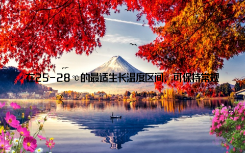在25-28℃的最适生长温度区间, 可保持常规密度; 夏季高温季节水温>32℃, 需降低密度20-30%; 冬季低温阶段
