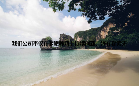 我们公司不仅在泥鳅养殖上持续创新, 还在探索无抗养殖、有机泥鳅培育等新模式, 希望能为消费者提供更安全、更健康的泥鳅产品