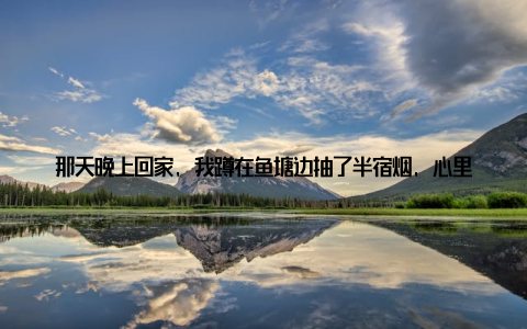 那天晚上回家, 我蹲在鱼塘边抽了半宿烟, 心里那个憋屈啊——明明是为了鱼好才用药, 怎么反倒成了错? 转机出现在2020年秋天