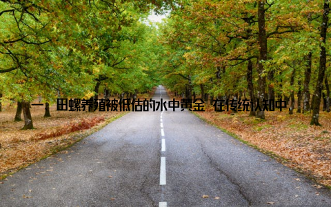 一、田螺养殖被低估的水中黄金 在传统认知中, 田螺常被视为田间副产品, 但鲜为人知的是, 科学养殖的高品质田螺价格可达普通品种的3-5倍