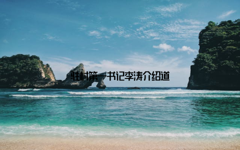 驻村第一书记李涛介绍道